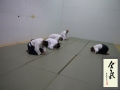 2014010120113436.JPG